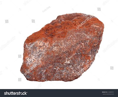 shutterstock