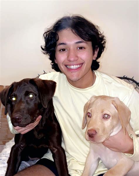 francisco galvan puppies  sale