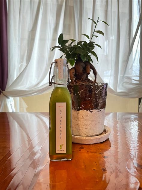 ニラドレッシング | hirochika