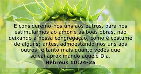 Versiculo Sobre Ir A Igreja - 29 Versículos da Bíblia sobre a Igreja - DailyVerses.net