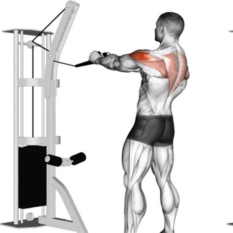 cable face pull exercise   workout trainer  skimble