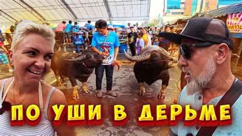 Тайланд/ Шоу Быков / Ярмарка / Цены/ Еда - YouTube