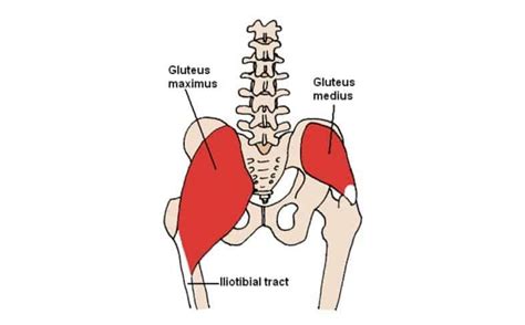 Cossack Squat: What Is It, How To Do It, & Benefits