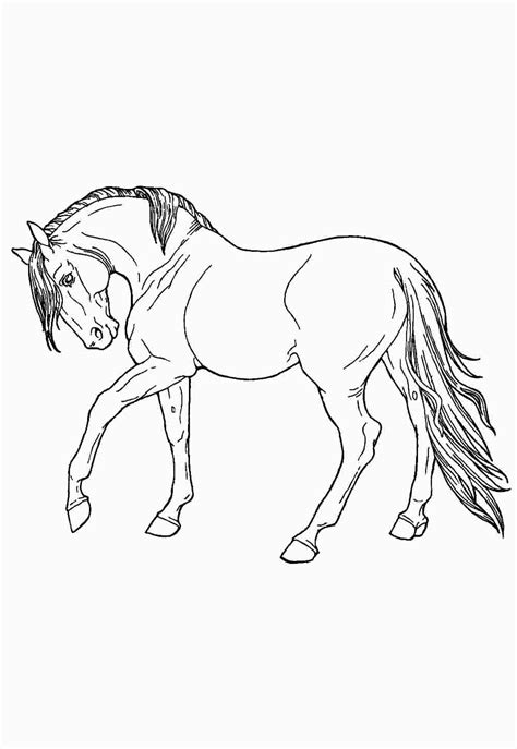 Cavalos Para Pintar E Imprimir - 5
