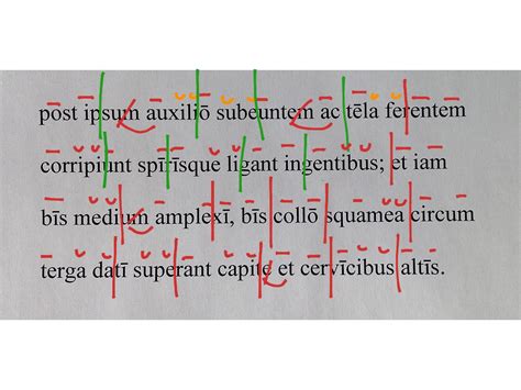 ShowMe - hexameter