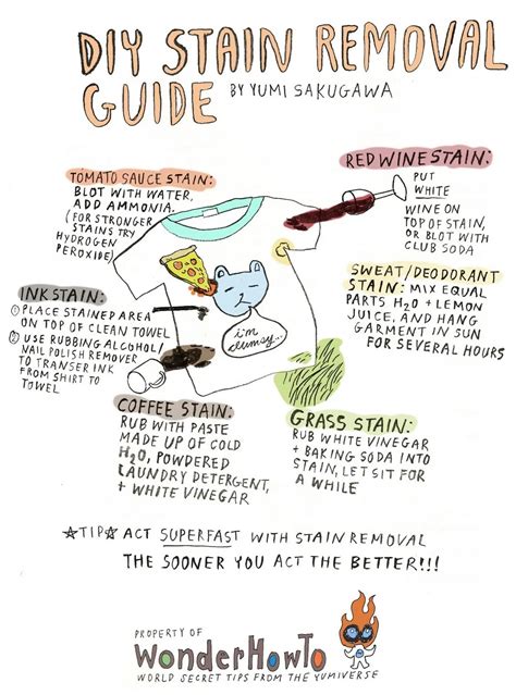 6 Easy Recipes for Removing Nasty Stains « The Secret Yumiverse