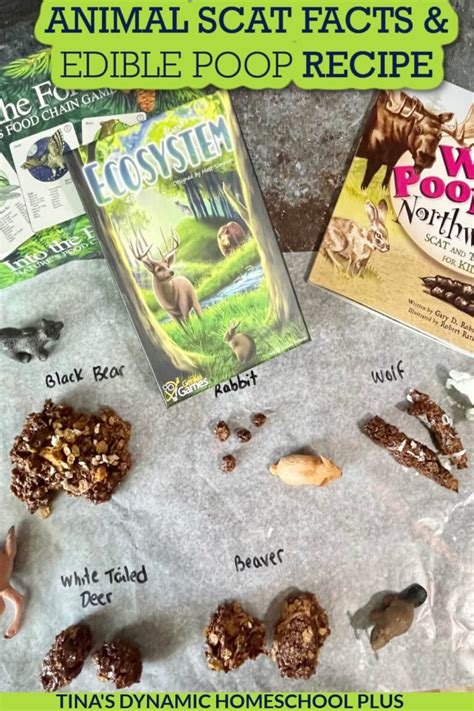 gross scat facts     edible scat