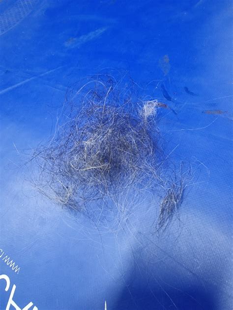 Arabella Francis (@Arabellaporn) / Twitter