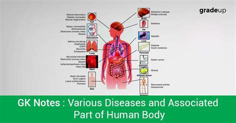 Biology Notes: Various Diseases and Associated Part of Human Body