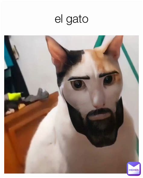 el gato | @Rlzc | Memes