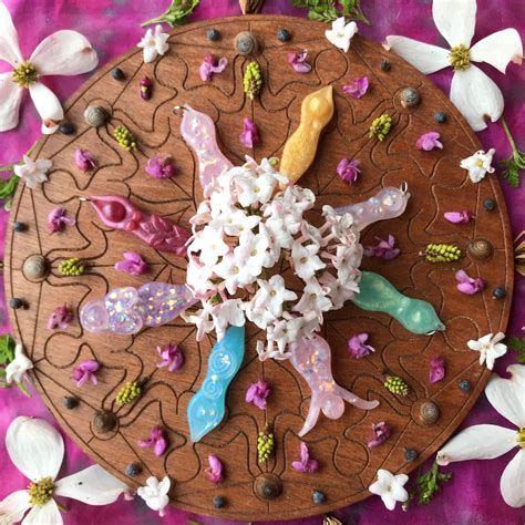 Wild Snail Festivals – Brigid's Grove