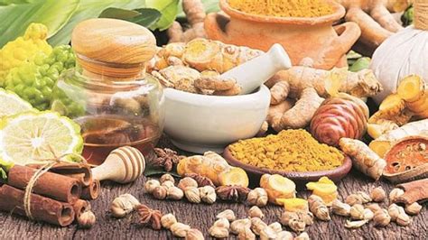 medicinal plants await good marketing expert views business standard