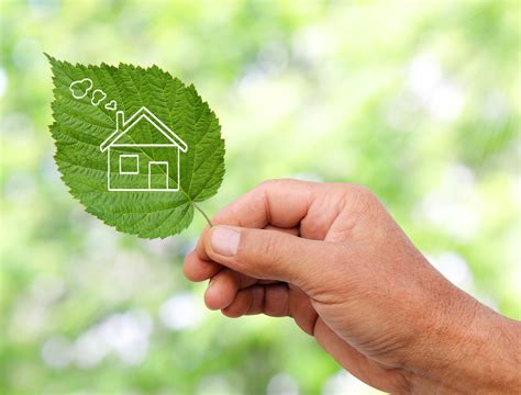 Eco-friendly Remodeling: Everything You Need to Know | NuEnergy