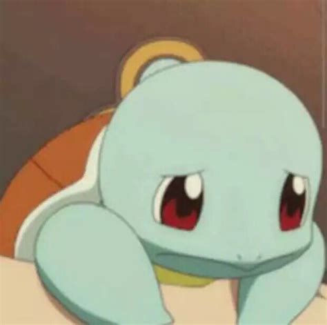 杰尼龟 - 高清图片，堆糖，美图壁纸兴趣社区