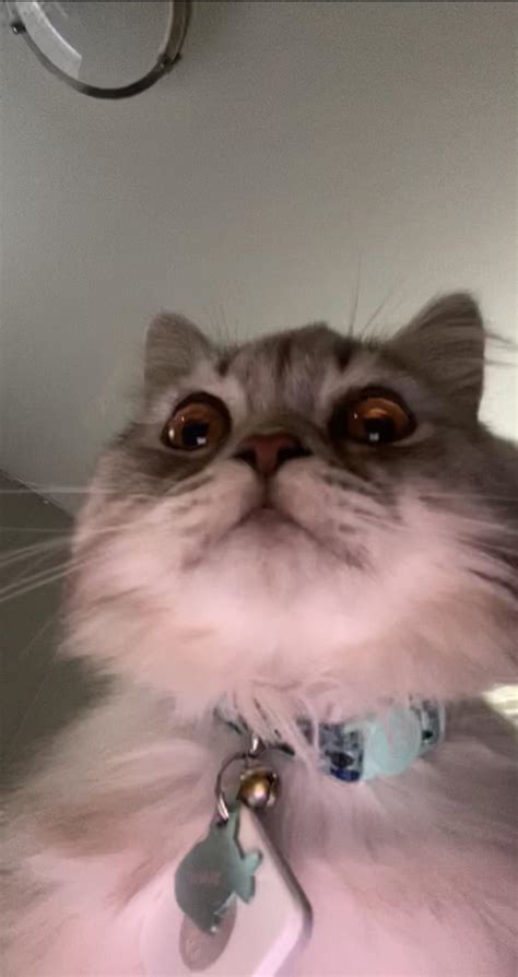 A search someone with phone number attempt had a surprising result 9