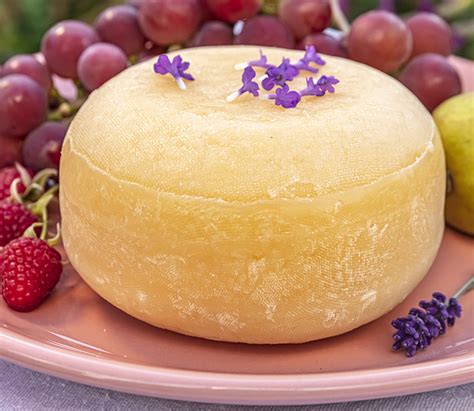 cietie sieri piena produkti lpcs