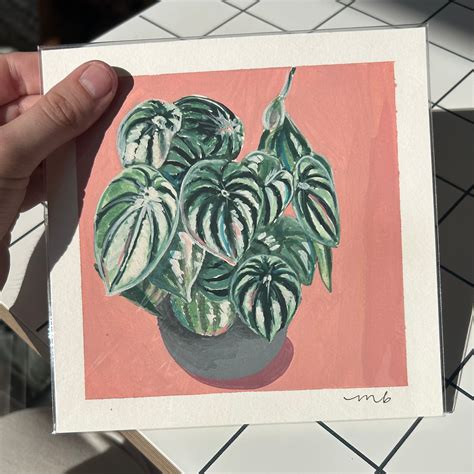 From the Archives Sale / Plant Portrait / Peperomia – Morgan Elaine