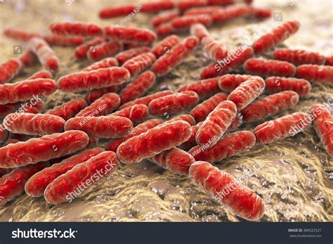 9,840 Lactobacillus Bacteria Images, Stock Photos & Vectors | Shutterstock