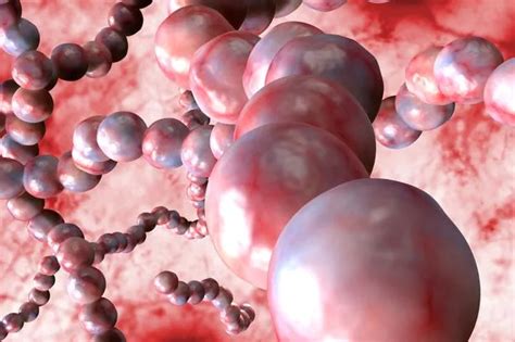 mapped invasive group  strep cases  yorkshire  region ends