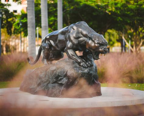 florida international university applywave