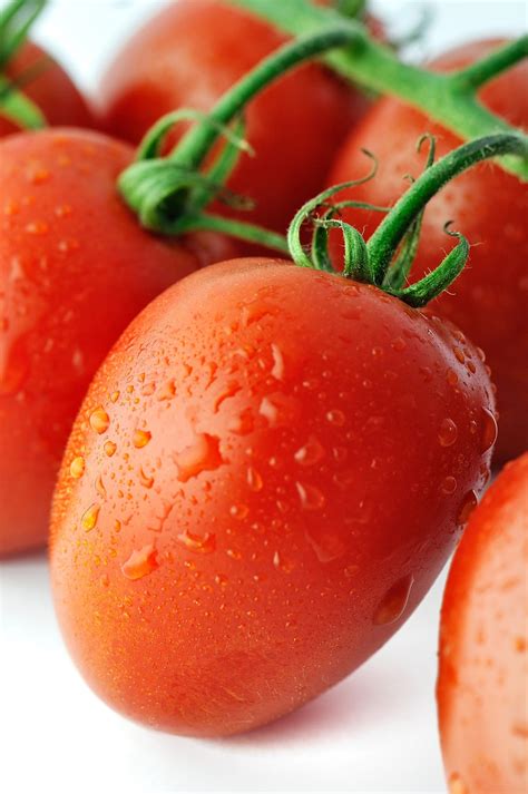 are plum tomatoes the same as roma 1