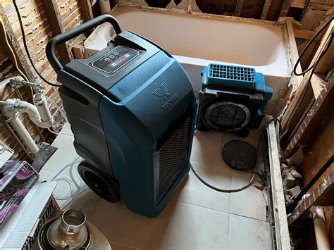 Mold Removal - Vital Cleanup