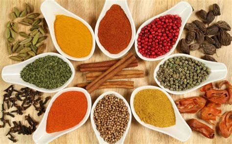 Spice - Alchetron, The Free Social Encyclopedia