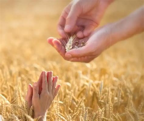 greedy  terrible    greedy good  bad psychology