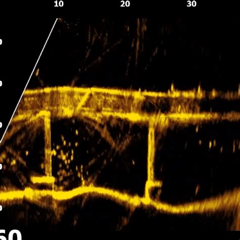 ActiveTarget™ Live Sonar | Lowrance USA