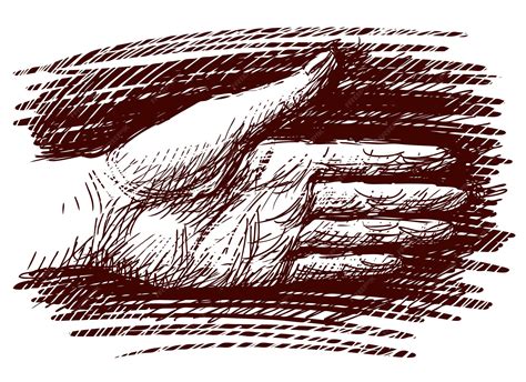 premium vector hand drawing  human palm hand
