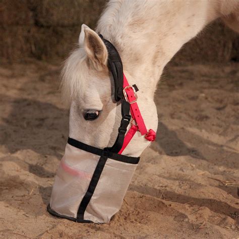 Majestic Ally Horse Feed Bag Nylon Mesh Grain Feed Bag | Etsy