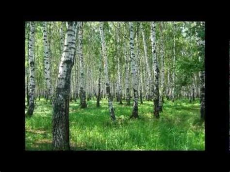 "Умывает красно солнышко..." - YouTube