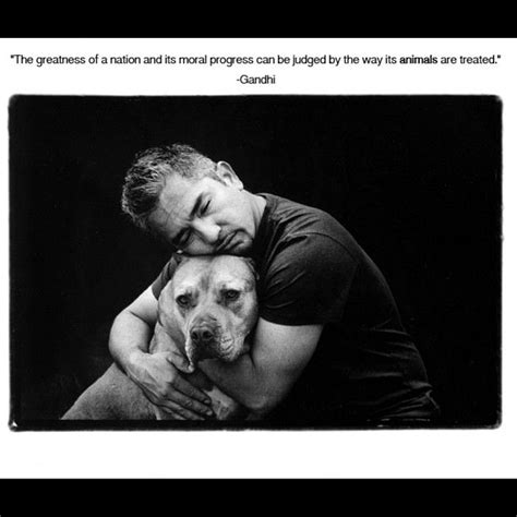 Cesar Millan Quotes. QuotesGram