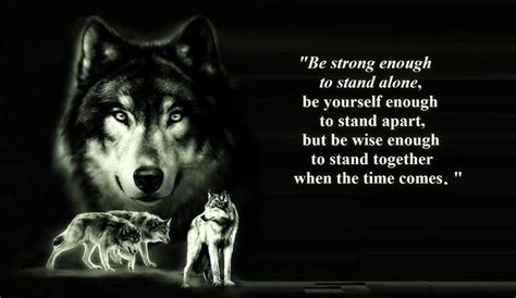 Alone Wolf Wallpapers - Wallpaper Cave