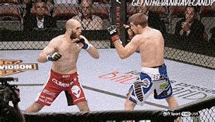 knocked  knockout gif wifflegif