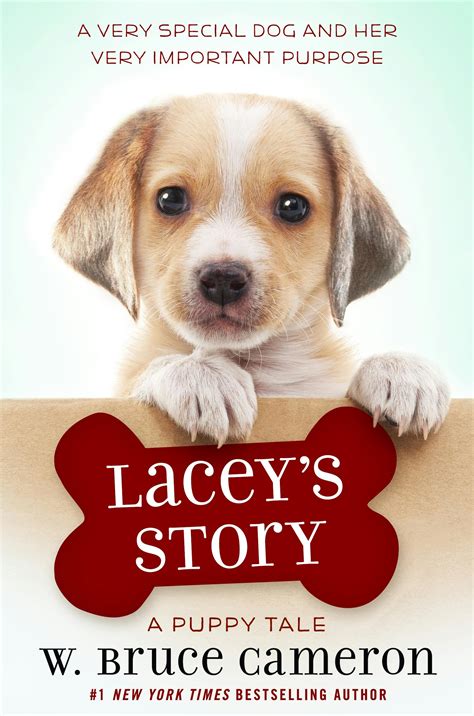 Top Dog: A Behind-the-Scenes Look at the Thrilling World of Dog Rescue