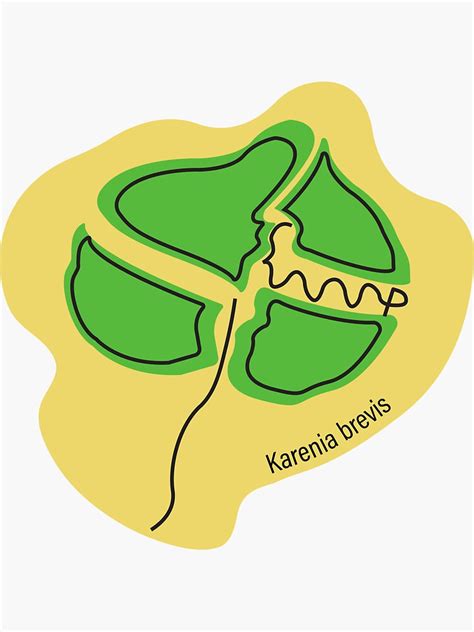 "Karenia brevis " Sticker for Sale by cmlefebvr | Redbubble