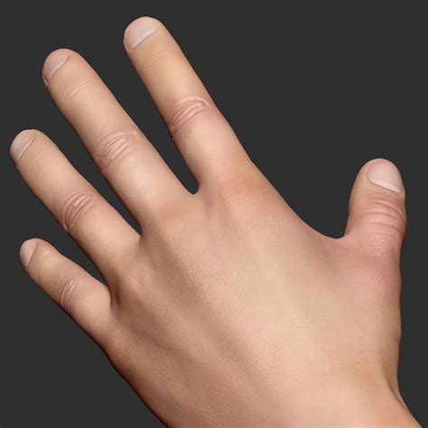 artstation hand study