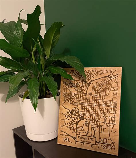 These upcoming Raleigh NC concerts are actually free to attend 20