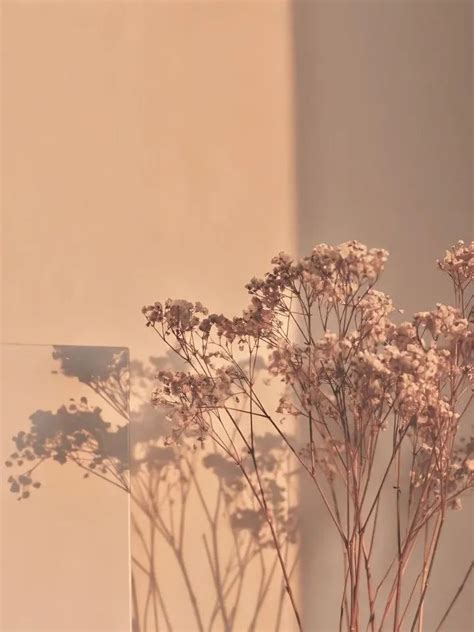 wallpaper bunga aesthetic galeri diposting oleh linda oktobelin lemon