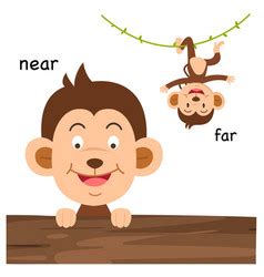 vector images