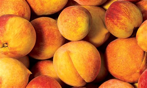 South Carolina Peach Growers are Blushing with Pride - Farm Flavor