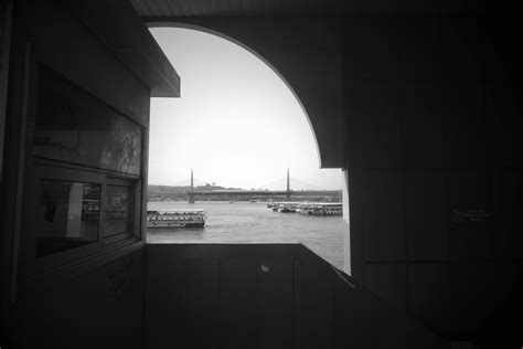 Marina Hedman Zoophilia Sex Scene: What Secrets Lie Within? | Indo