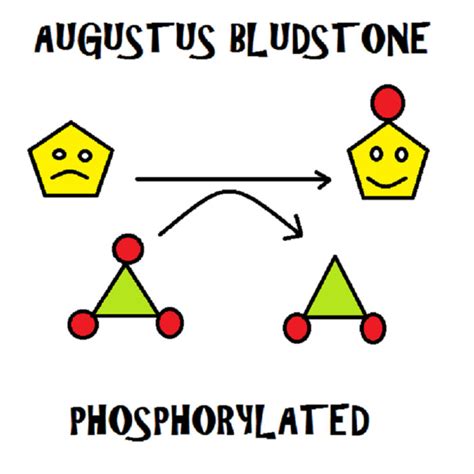 phosphorylated augustus bludstone