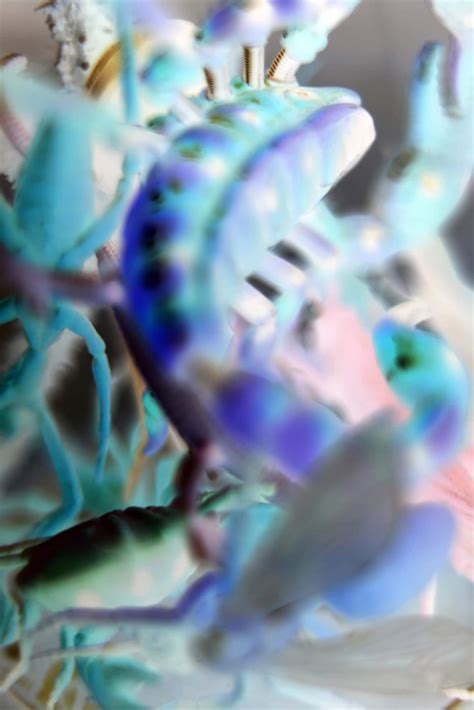 UNTITLED - Priveekollektie