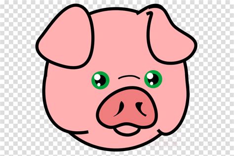 pig head png clipart domestic pig clip art pig head clip art