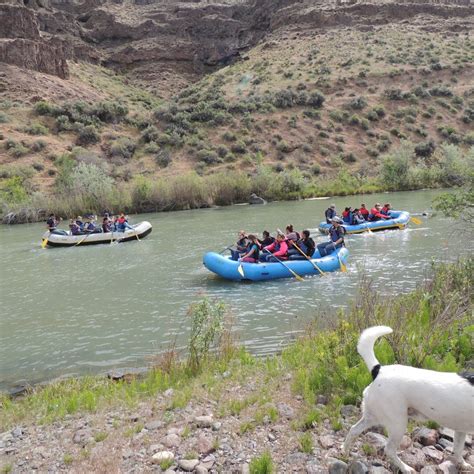 Owyhee River - Below Dam - Owyhee Dam Park | The Dyrt