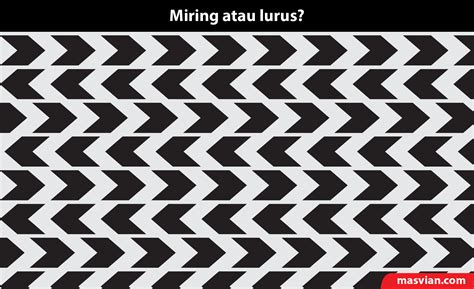 Kumpulan Gambar Ilusi Optik yang Membingungkanmu - Masvian