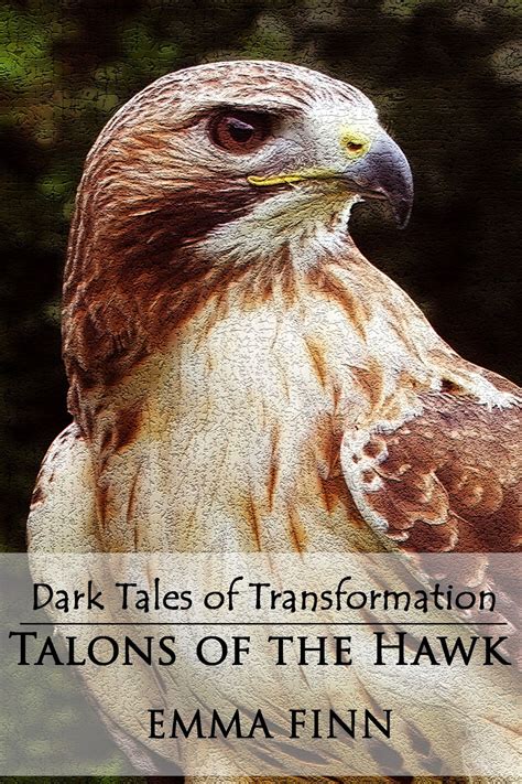 Emma Finn's Dark Tales of Transformation: OUT NOW: Talons of the Hawk!