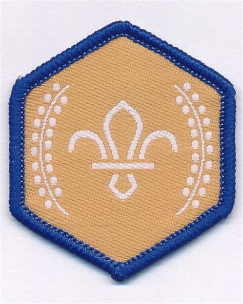 Beaver Scouts Badges | Scout Store